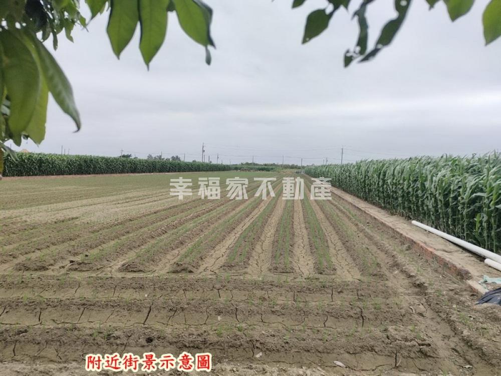 佳里興有水電2分8美田