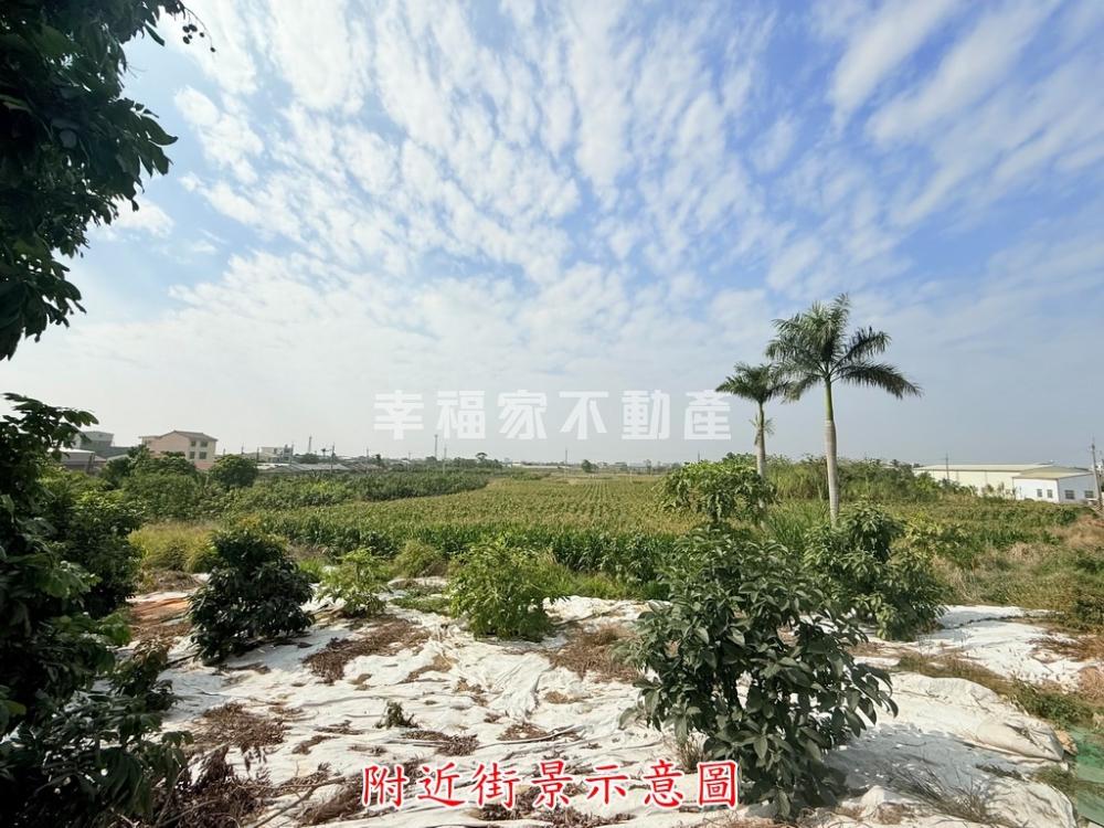 近柳營新山國小3.7分農地