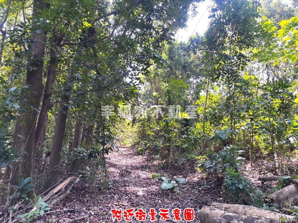 官田1186坪農地好利用