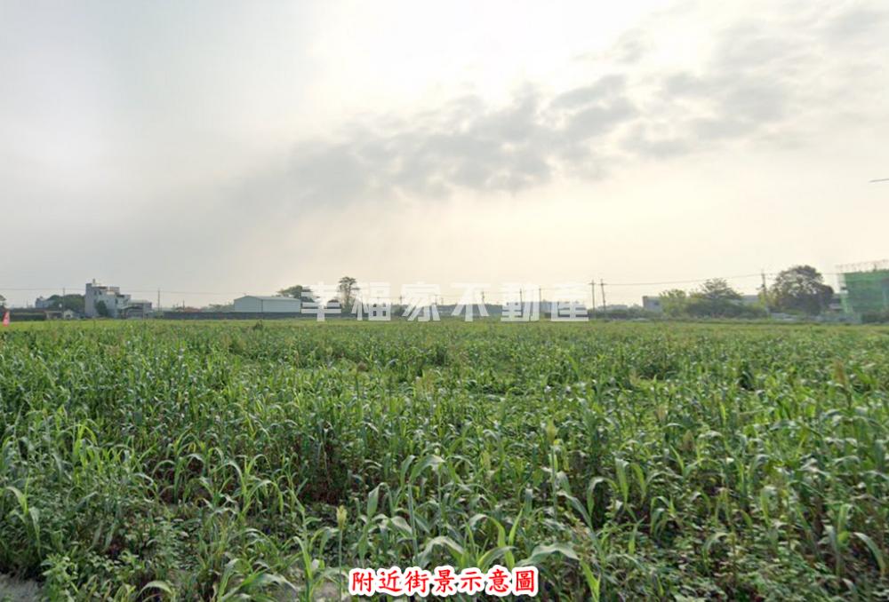 佳里新安段雙臨路有電美農地