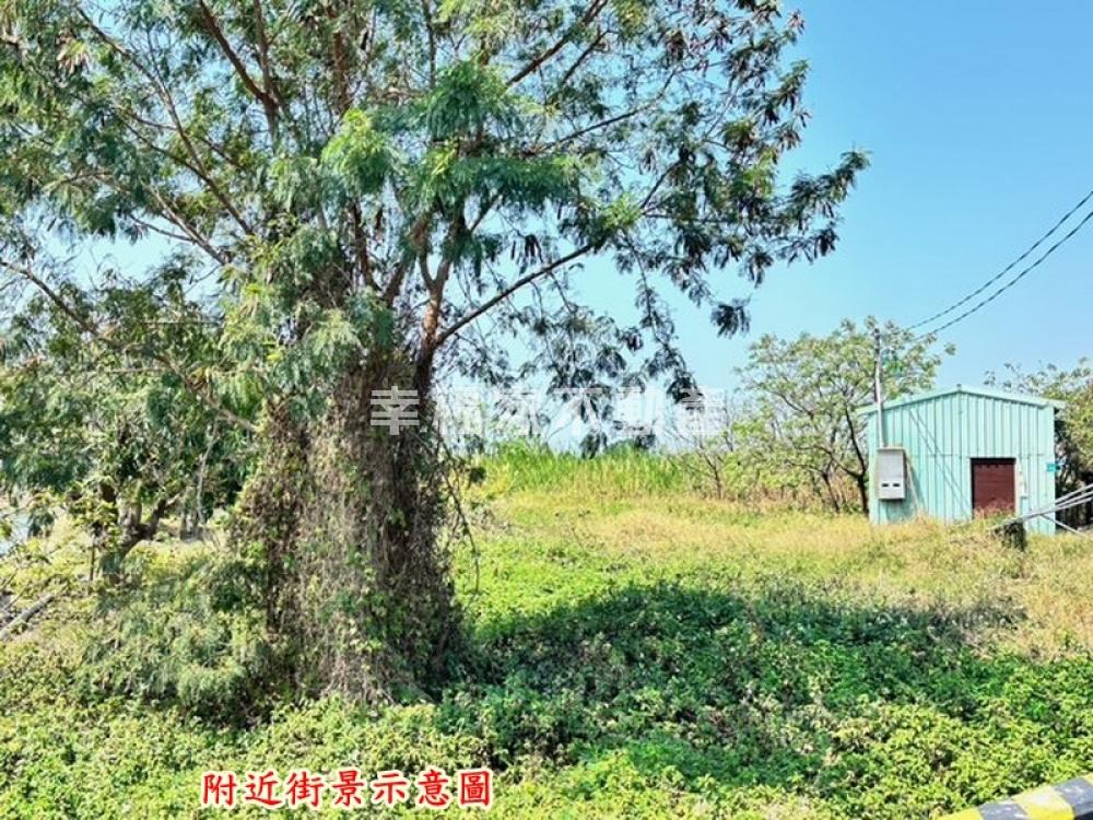 仁德保甲段3.8分農地