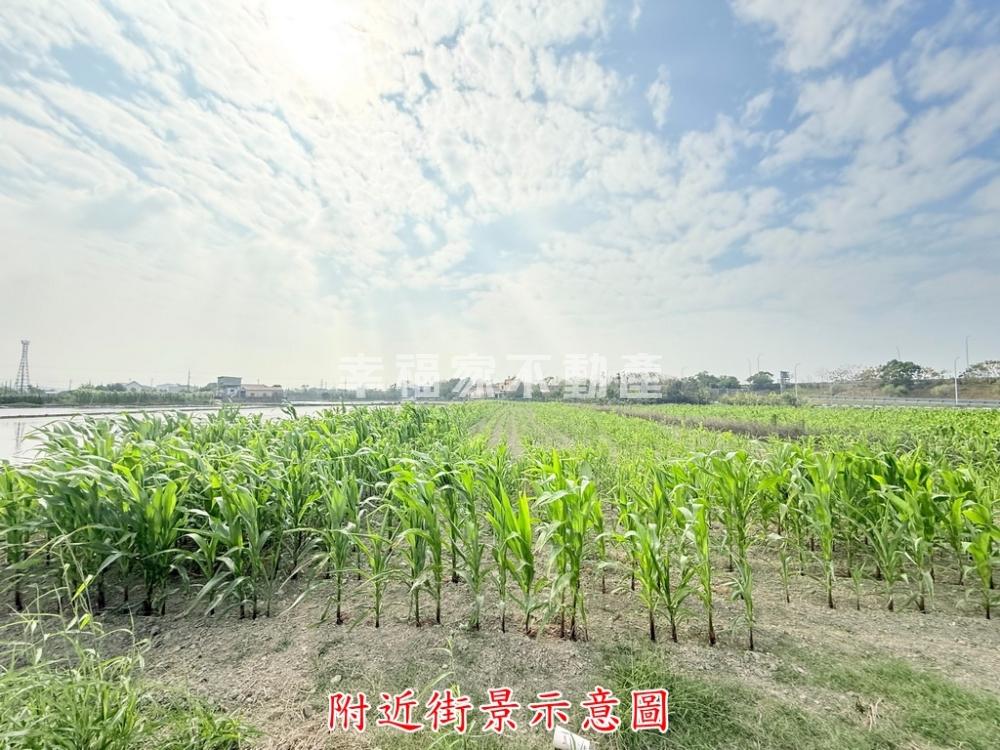 國三柳營交流道鄰30米農地