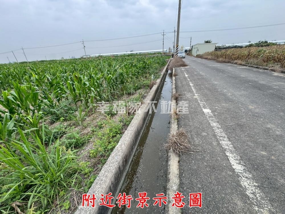 六甲龜子港近省道4分特農