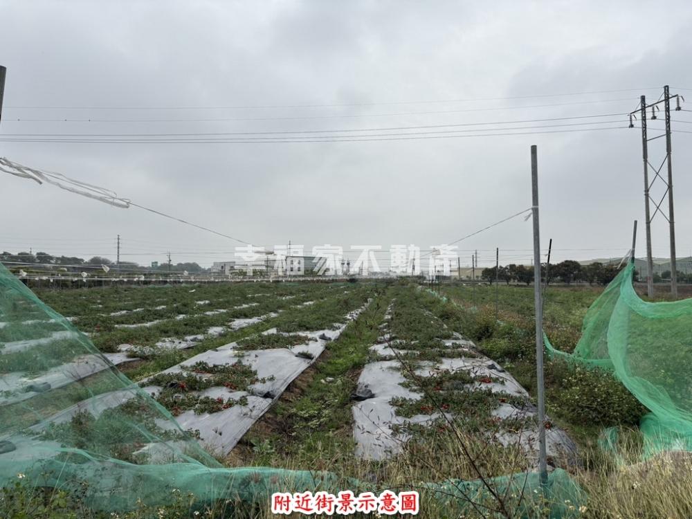 新市東大社3分6休閒農地