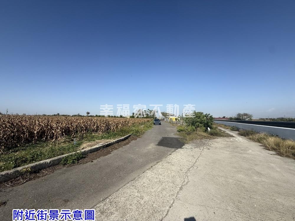 鹽水近台19低總價農保地