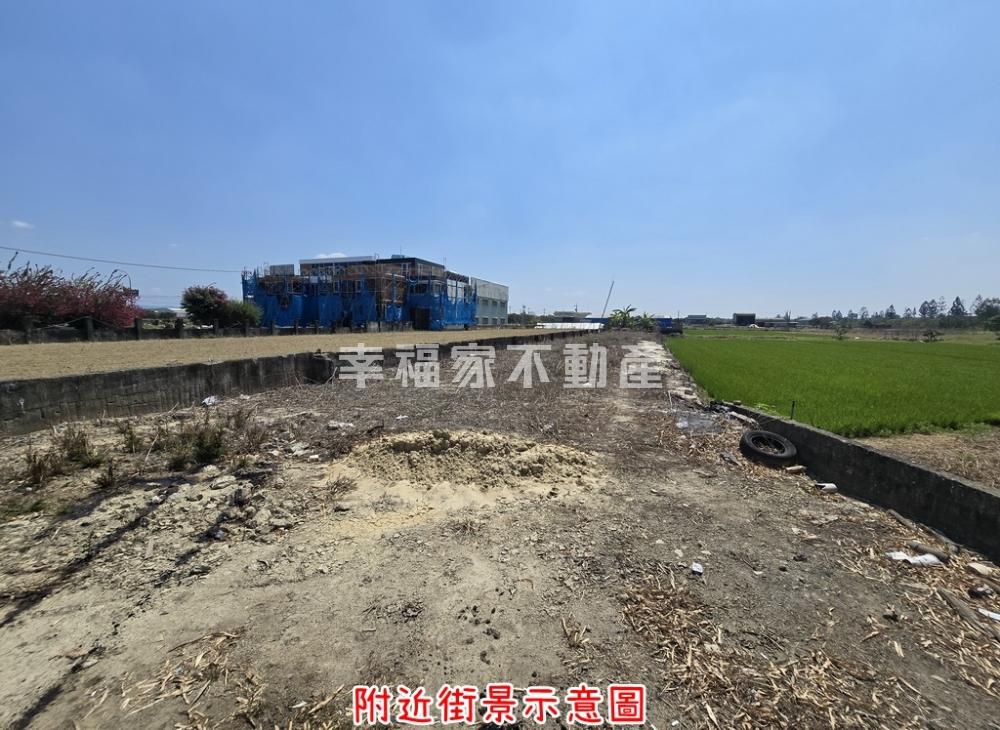 新化正中山路219坪特農