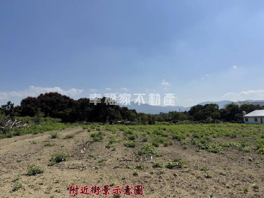 玉井4.1分美農地