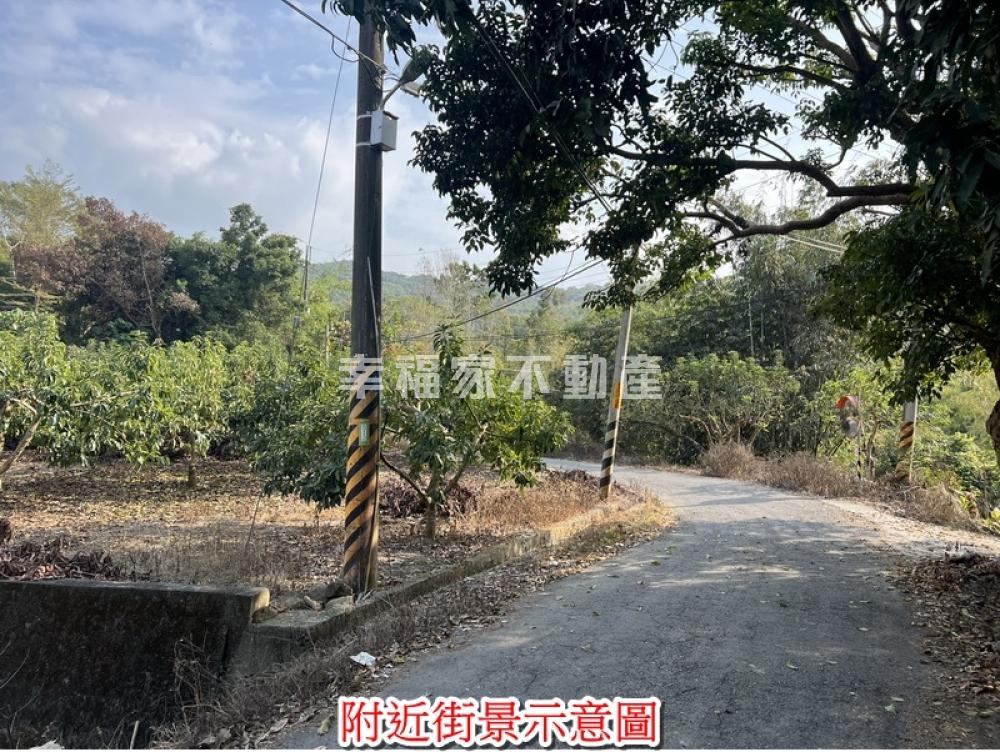 近梅嶺976坪持分平坦農地
