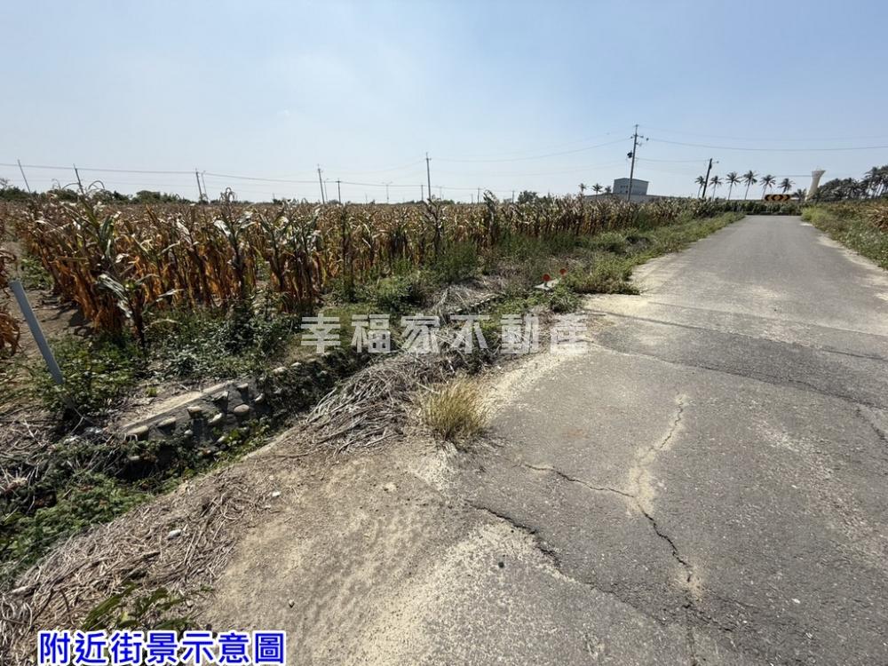 專-正中央公路上大面寬農