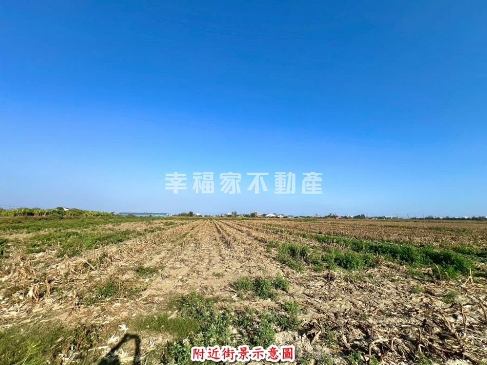 學甲溪洲農地