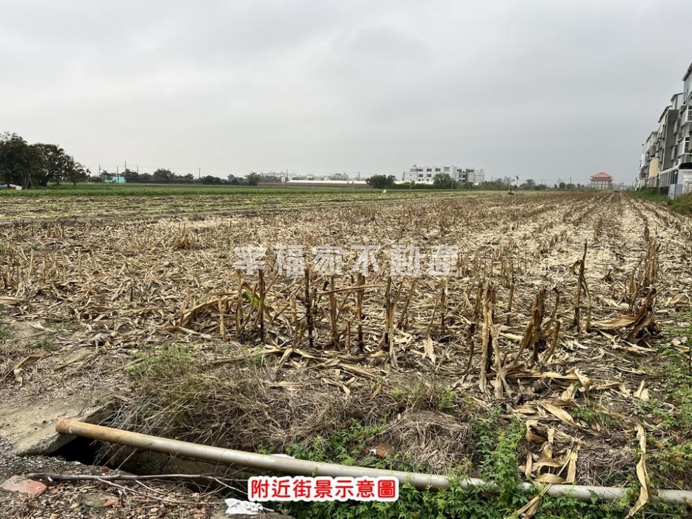 佳里新安段3.9分雙臨路地