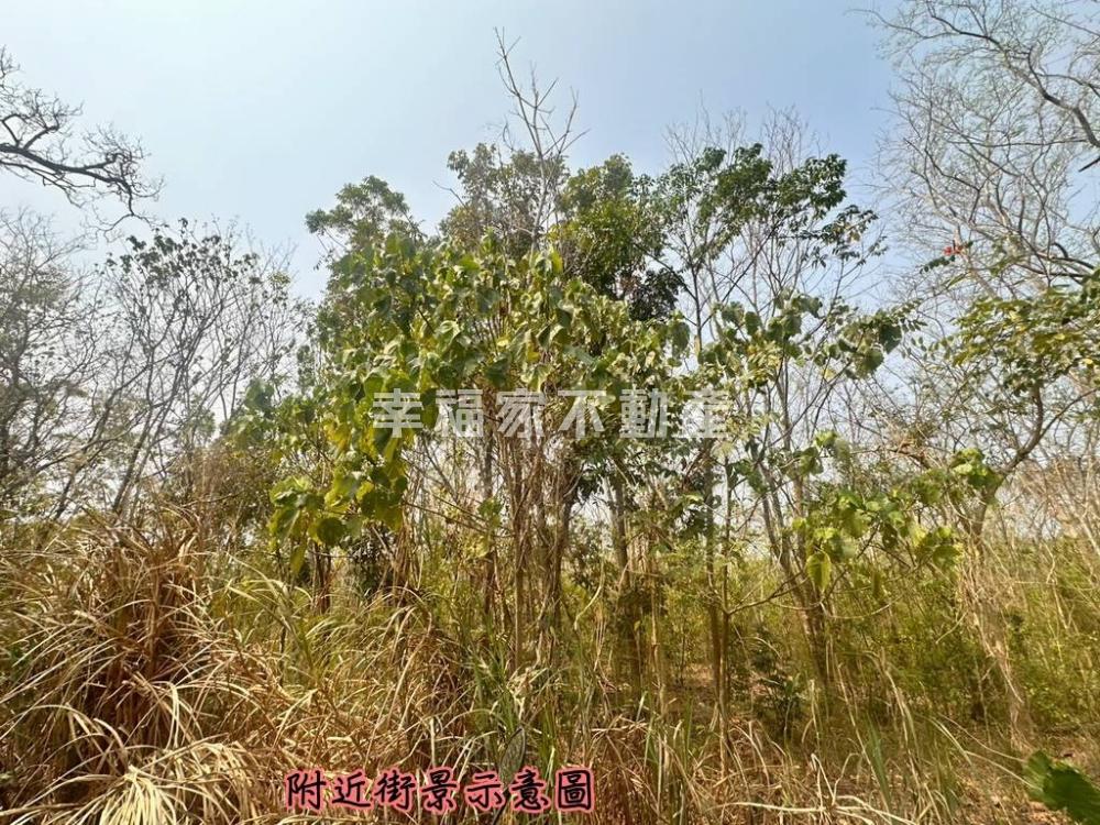 大內低總價開心農場A