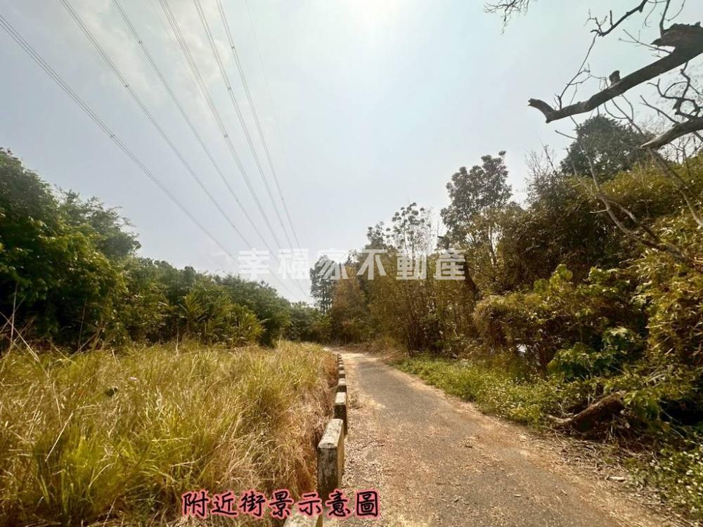 大內低總價5分開心農場B