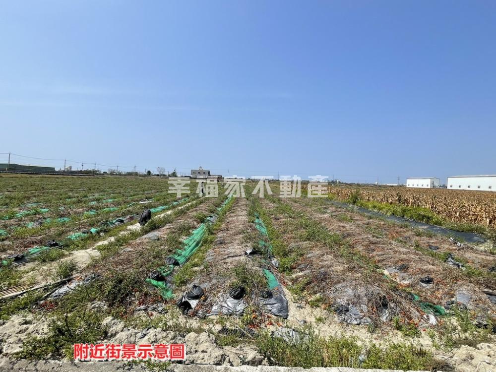 鹽水三和段1.3分農地