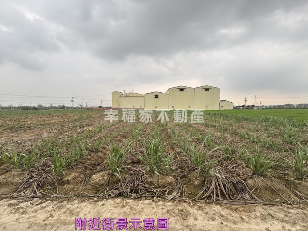 善化東勢寮1210優質農地