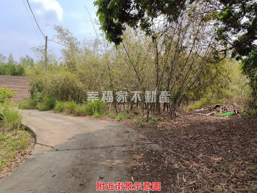 關廟北寮3.6分潛力農地