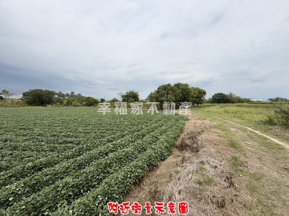 新化近南科美農地