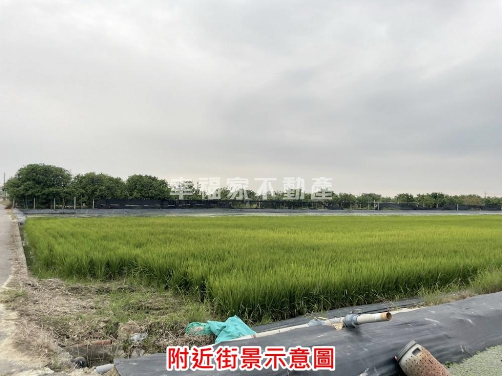 專近曾文市政園區特農