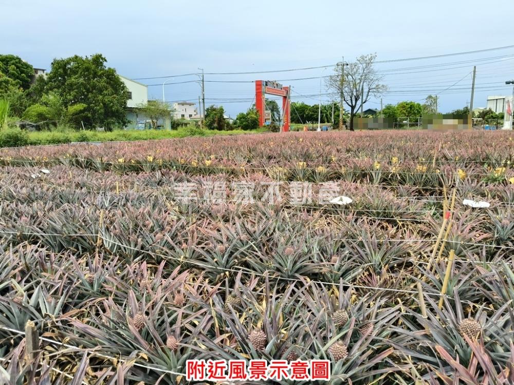 新化臨18米路特農地
