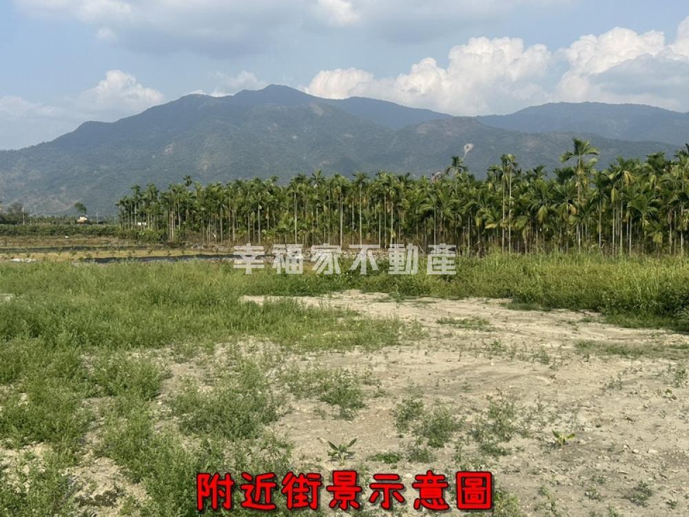 屏東高樹近市區臨路美農地