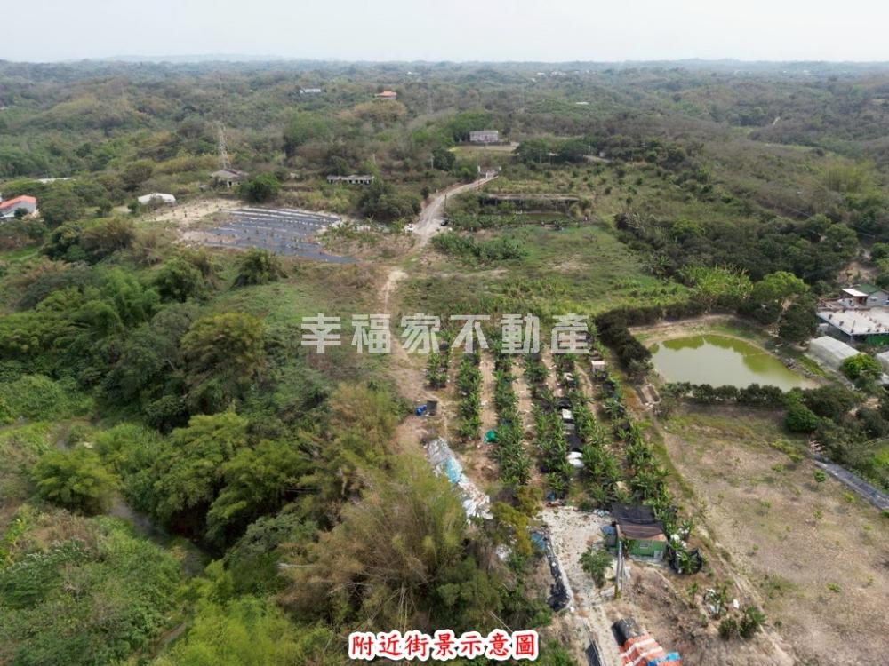 新化𦰡拔林景觀農地