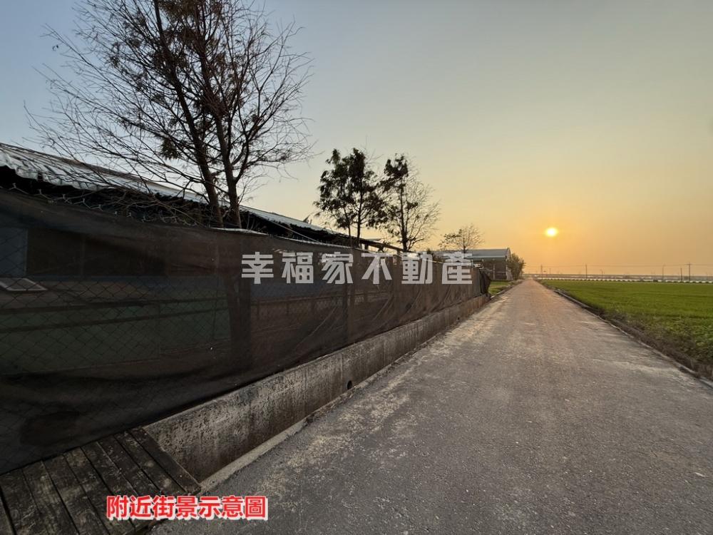 後壁田園合法雞舍