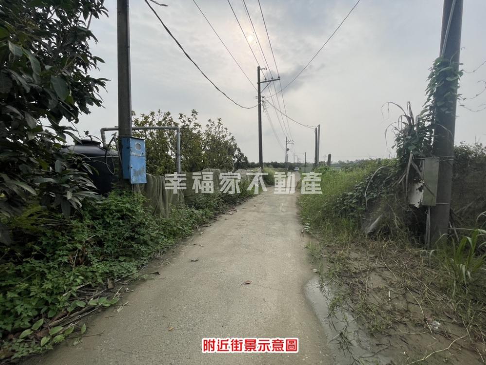 善化交流道旁開心農場