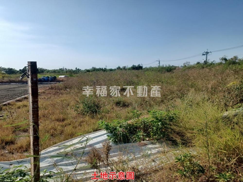 土城聖母廟旁都內農