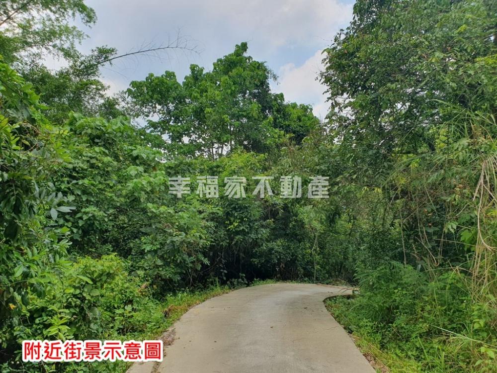專木柵庄段357坪財源地