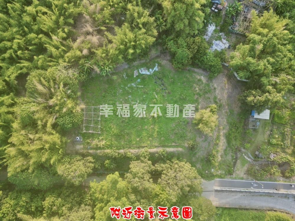 歸仁稀有481美都內農
