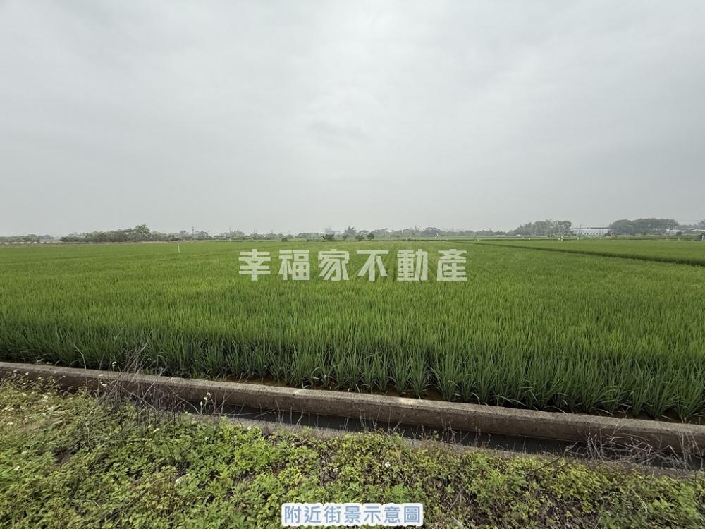 新市產業園區附近農地