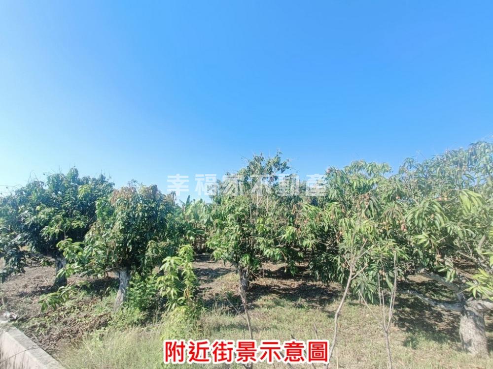 善化FG旁雙面路都農