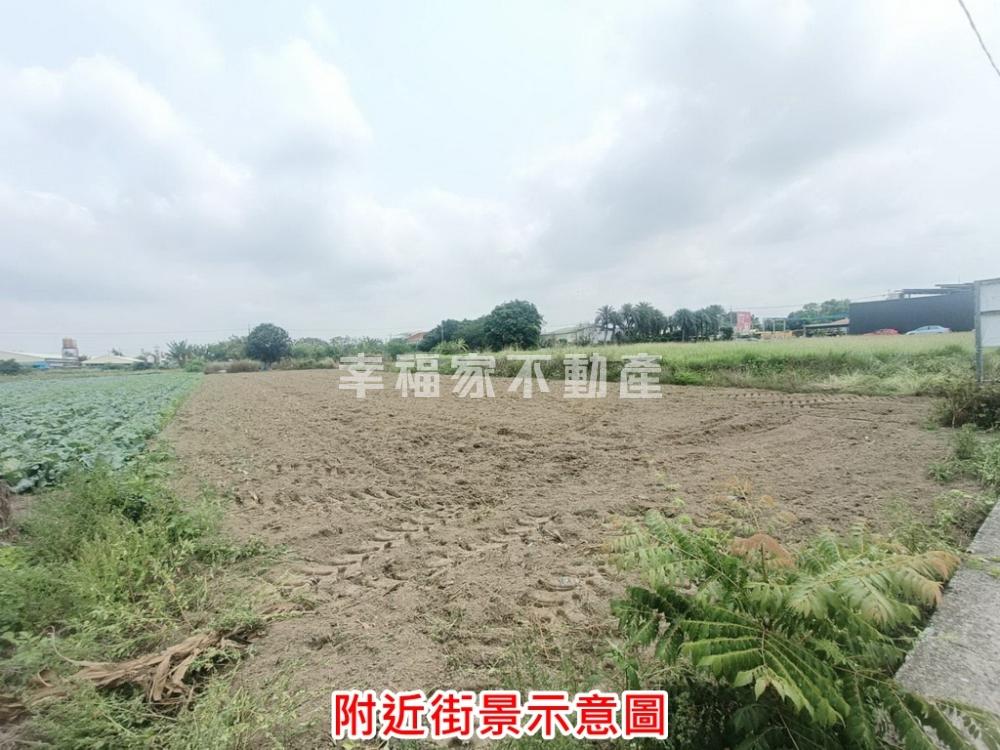 善化20米路都內農地