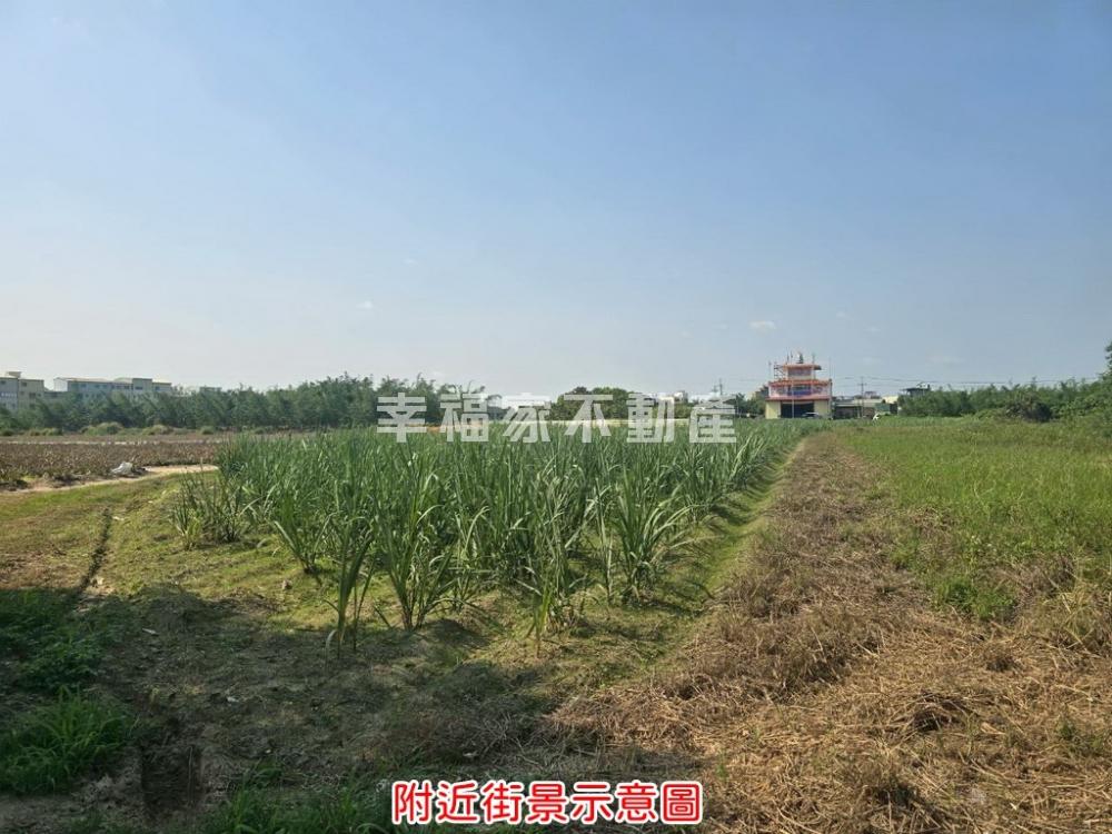 歸仁高鐵凱旋路8坪持分農地