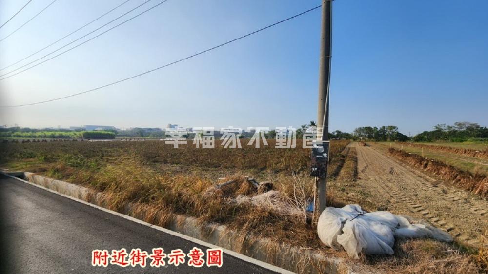 善化南科旁臨路方正農地
