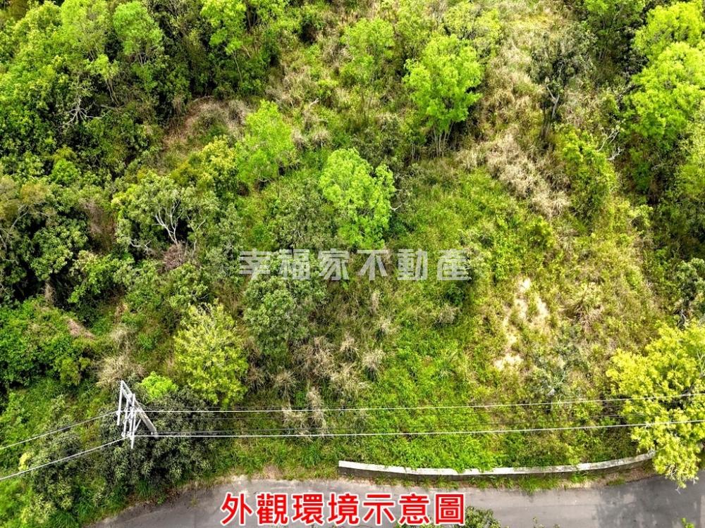 大內2.52分一般農地