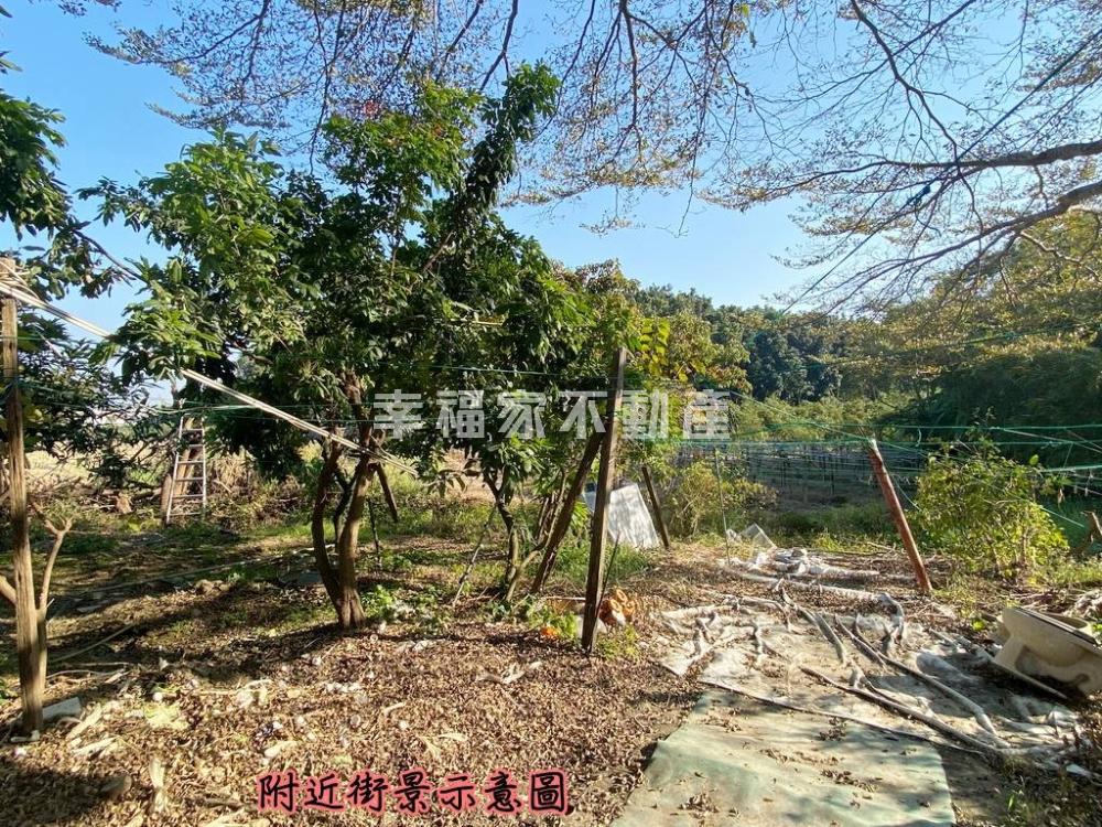 近關廟交流道持分美農地