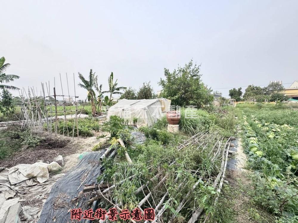 曾文.璞玉272小農