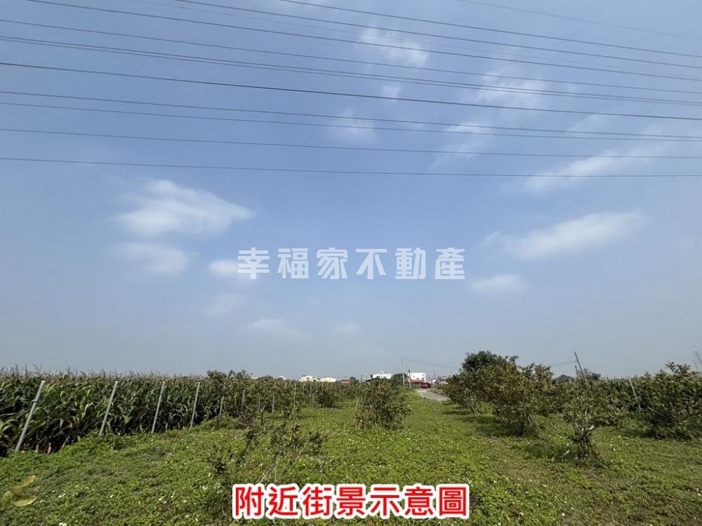 鹽水區大埔段美農地