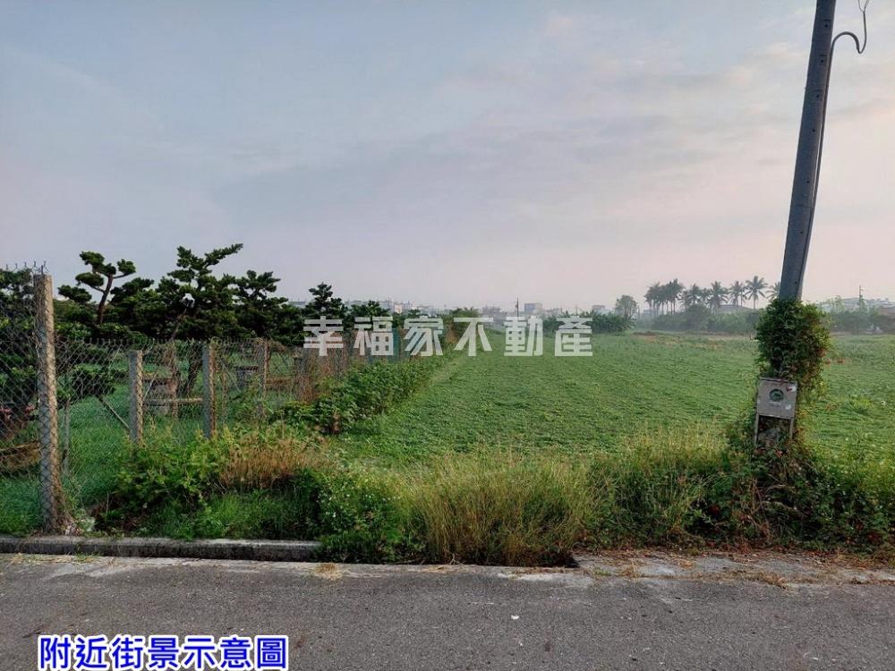 佳里近村莊朝南美農地1