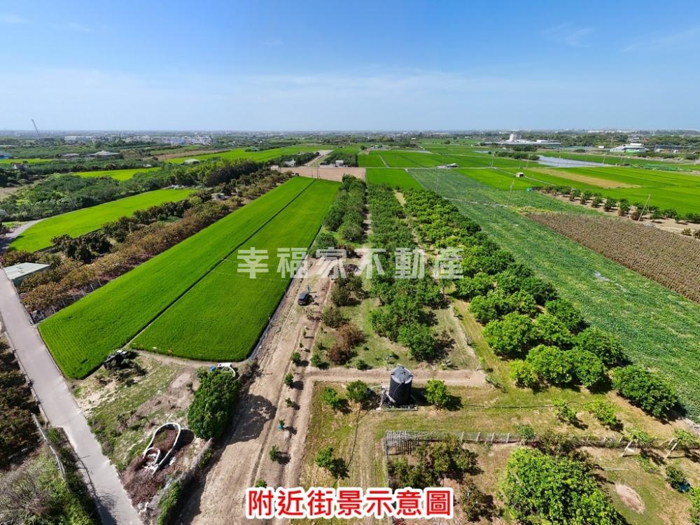 官田東西庄有水電柚子園