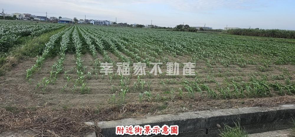 台南市西港區1.9分田
