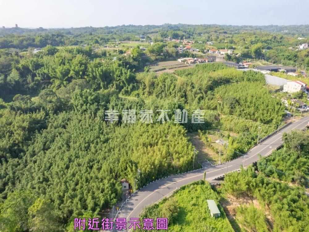 關廟新光國小8米路農地