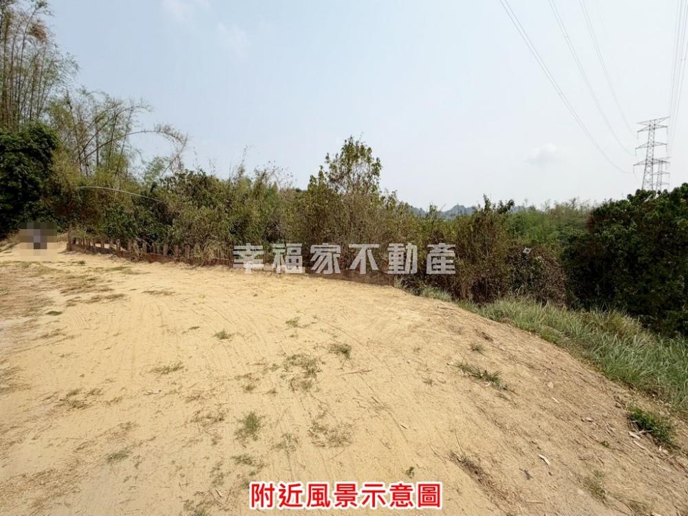 燕巢近國10.千坪農地