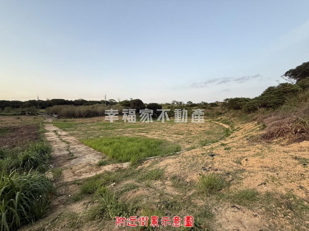 關廟新光臨路平整大農地