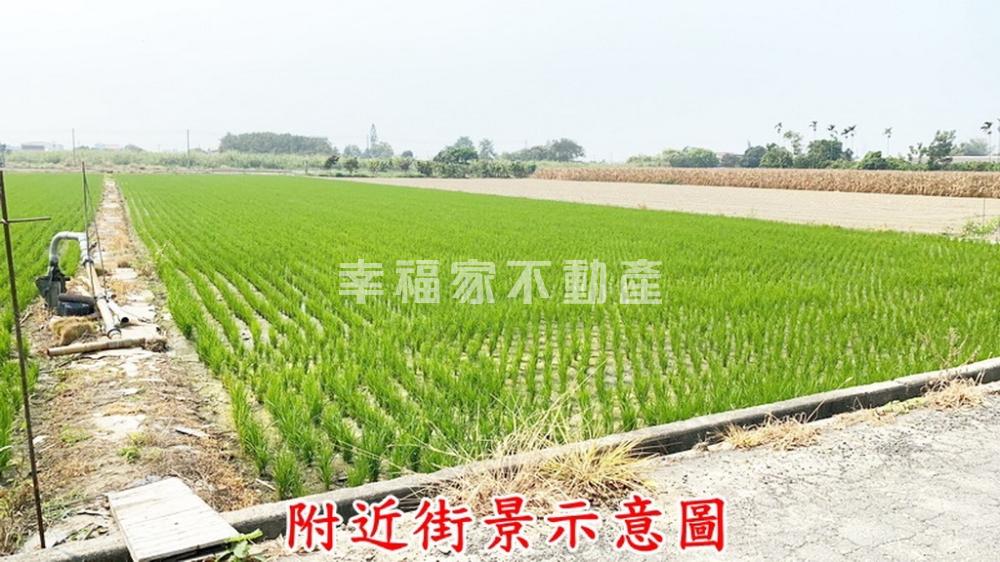 柳營近奇美都內農地