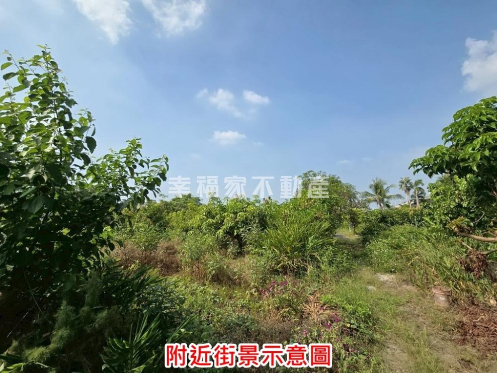 富強新市鎮徵收農地