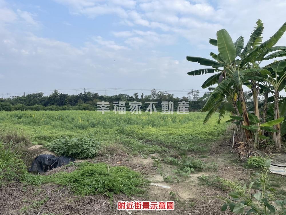 新市向錢衝農地