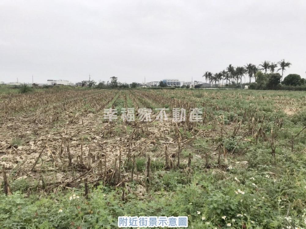 西港劉厝行情價超美農地