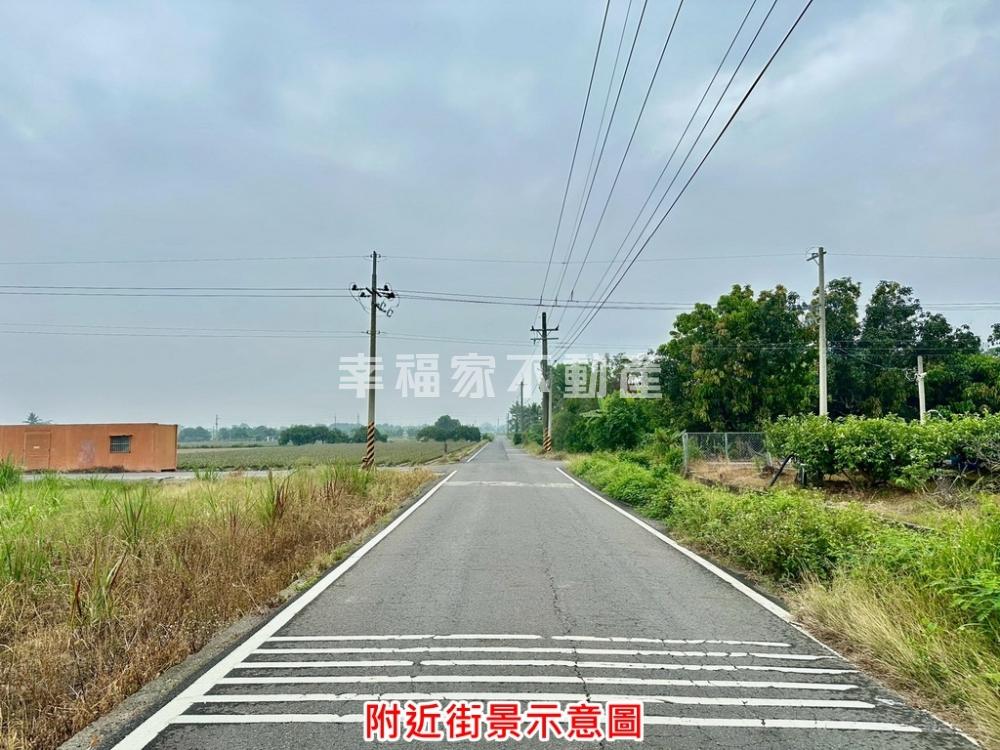 新市東大社1098坪美農地